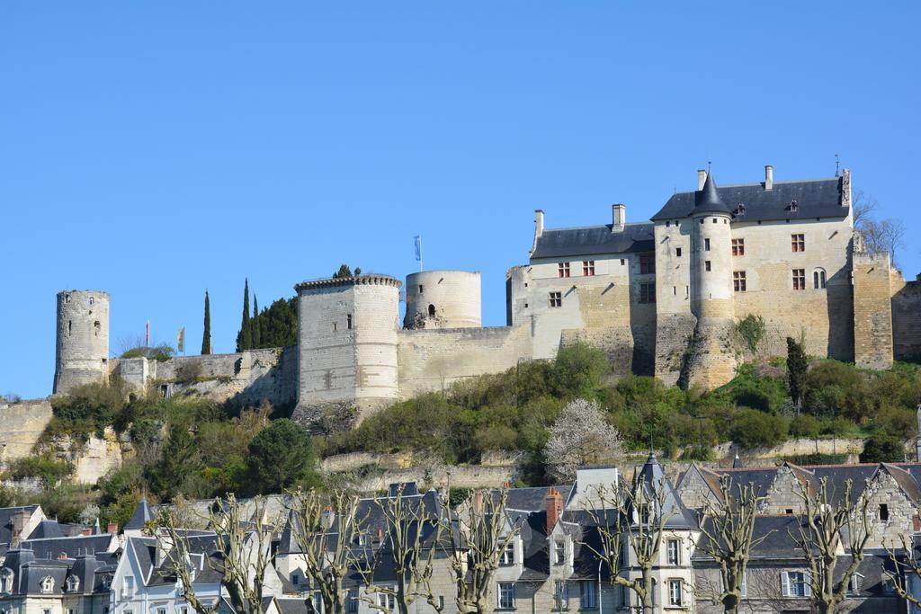 Domaine Du Heron Chinon Exterior photo