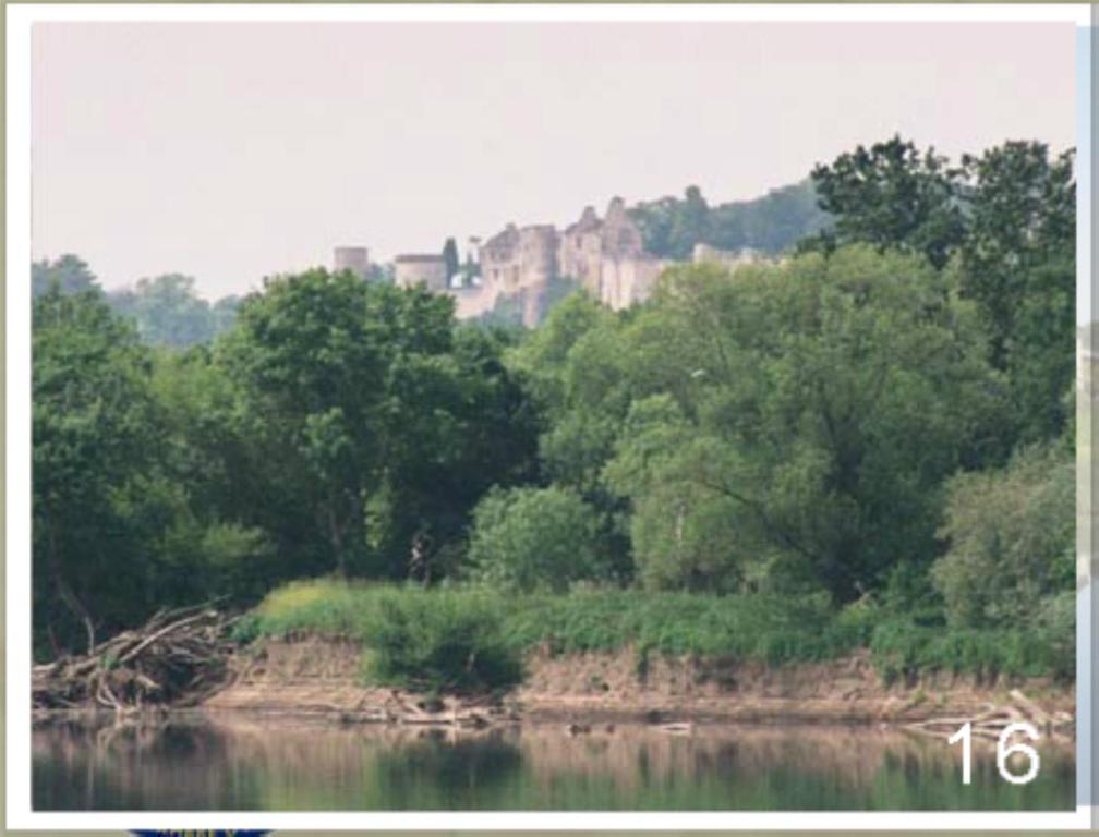 Domaine Du Heron Chinon Exterior photo