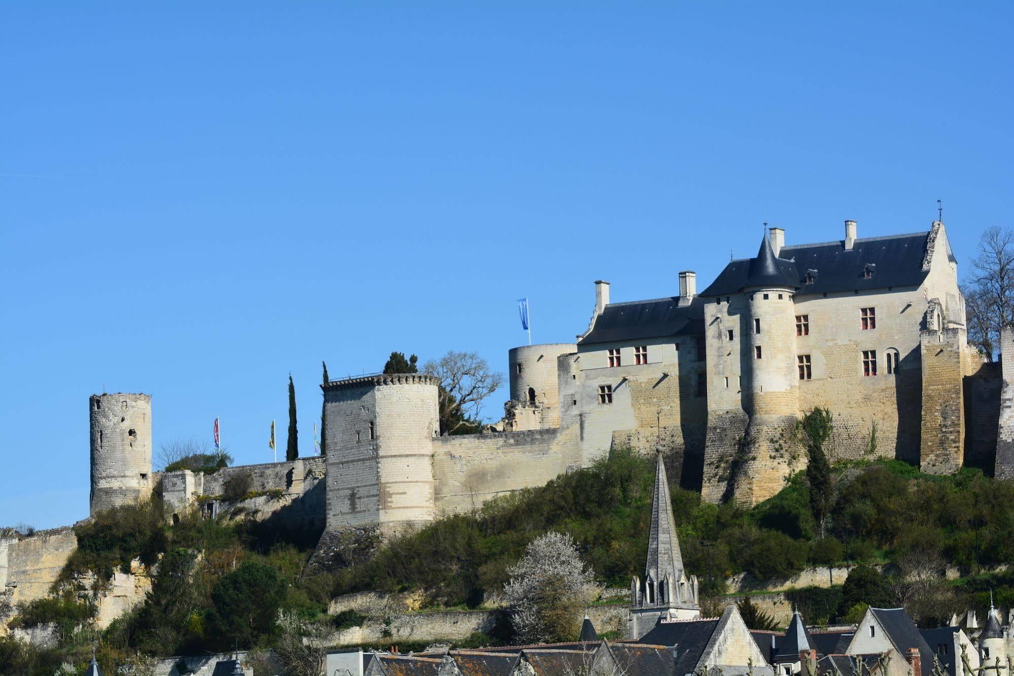 Domaine Du Heron Chinon Exterior photo